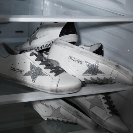 گلدن گوس golden goose